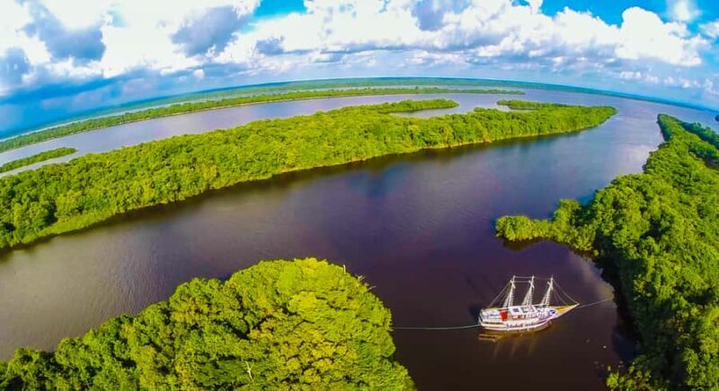 Manaus: Full-Day Tour on the Amazon River - In-Depth Review of the Manaus Amazon River Tour