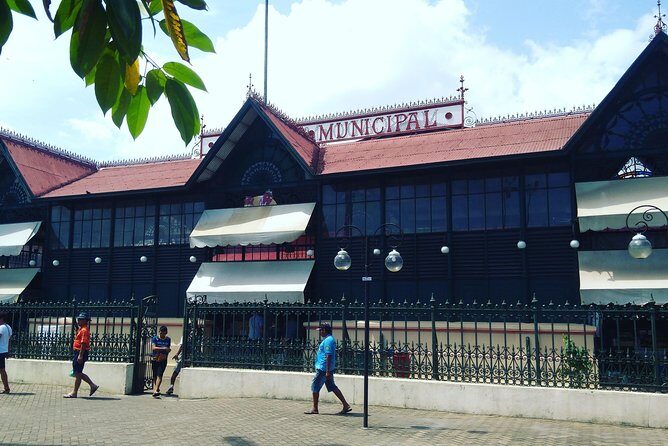 Manaus Full Day Tour, Opera House, Botanic Garden & Beach - Final Thoughts: Is This Tour Worth It?