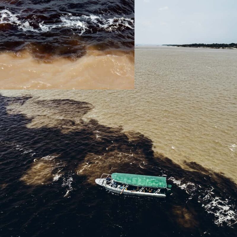 Manaus: Guided Tour of the Port and Floating House - Key Points