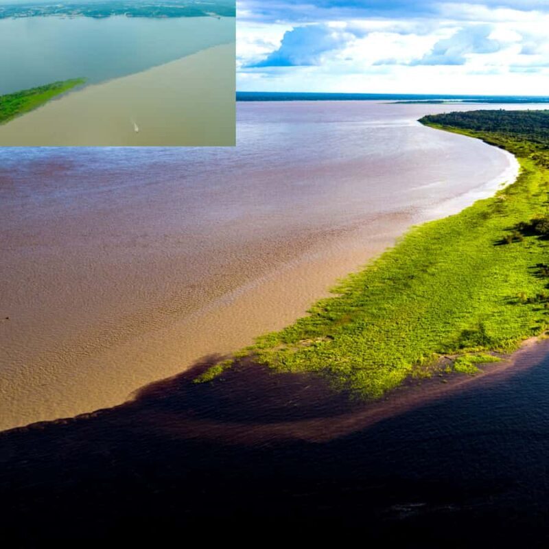 Manaus: Guided Tour of the Port and Floating House - A Detailed Look at the Manaus Port and Floating House Tour