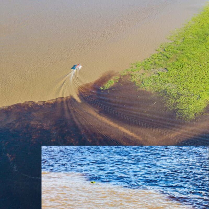 Manaus: Guided Tour of the Port and Floating House - The Sum Up