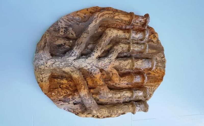 Manaus: Jewish History Tour with Guide - Key Points