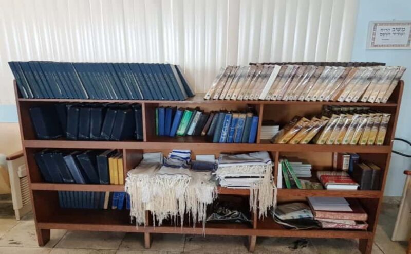 Manaus: Jewish History Tour with Guide - A thorough look at what makes this tour special