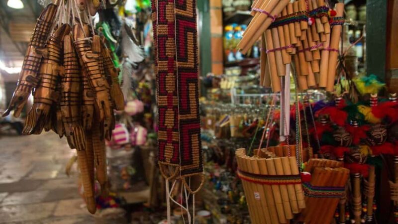 Manaus: Meeting of the Waters & Pink Dolphin Tour with Lunch - The Practicalities: What You Need to Know