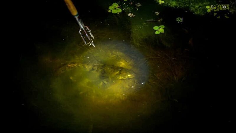 Manaus: Multi-Day Amazon Survival Trip with Camping - Who Should Consider This Tour?