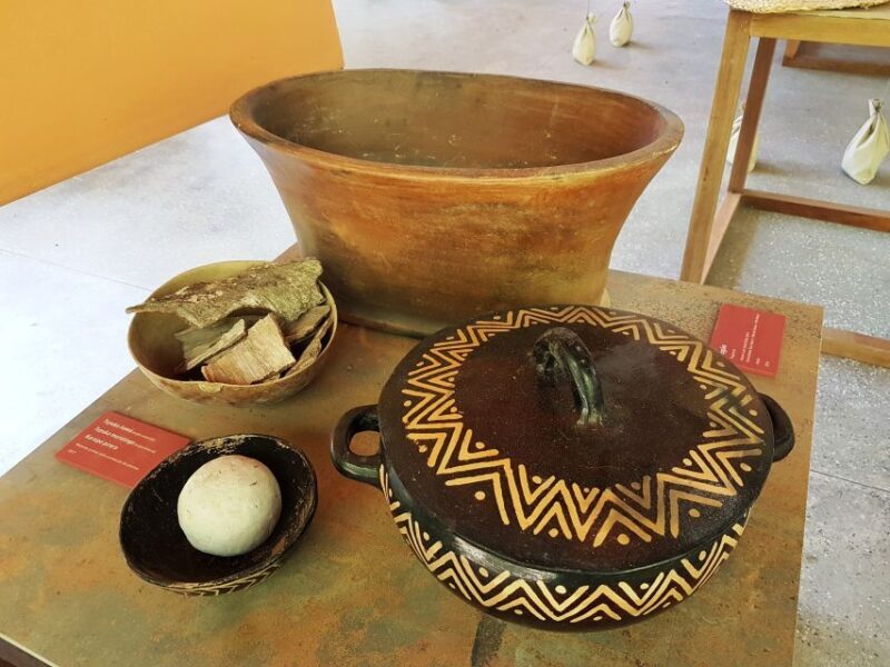 Manaus: MUSA and INPA Museums with Observation Tower Tour - Authentic Experiences and Value