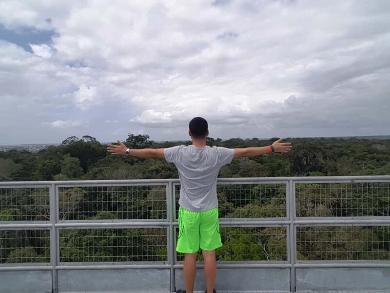 Manaus: MUSA and INPA Museums with Observation Tower Tour - Who This Tour Is Best For
