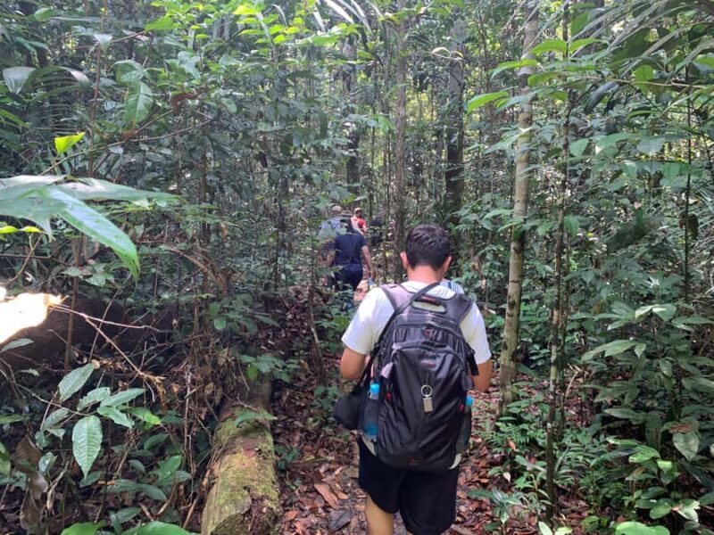 Manaus: Presidente Figueiredo Caves and Waterfalls Tour - Exploring the Presidente Figueiredo Caves and Waterfalls Tour