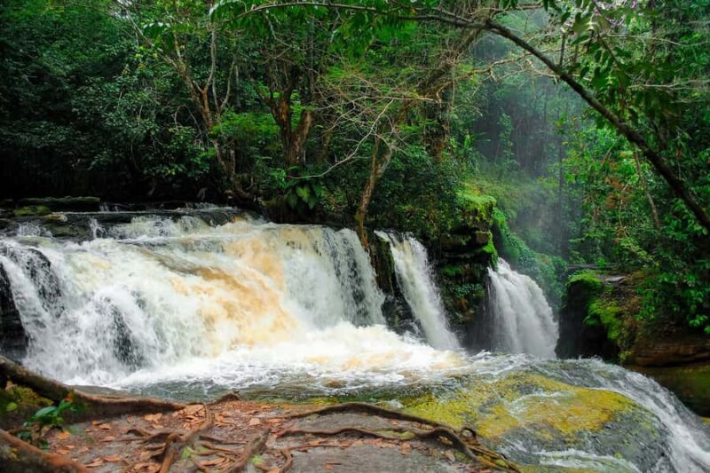 Manaus: Presidente Figueiredo Caves and Waterfalls Tour - Who Will Love This Tour?