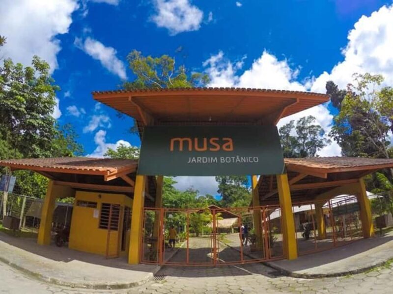 Manaus : Visit to MUSA (Amazon Museum) - Key Points