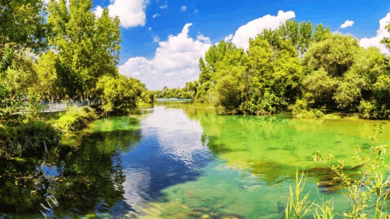 Manavgat River Cruise With Waterfall & Bazaar Tour - Who Should Consider This Tour?