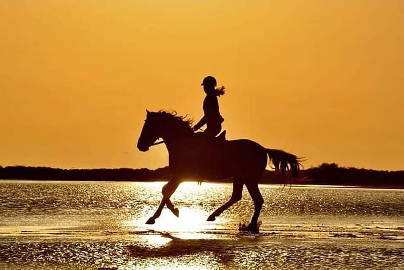 Manavgat Side: Horse Riding on the Beach and in the Forest - A Detailed Look at the Horse Riding Tour