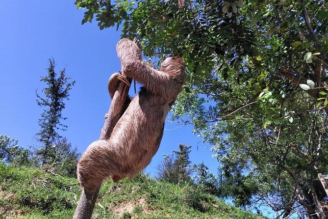 Manawakie Park, Sightseeing Island Tour & Beach - Key Points