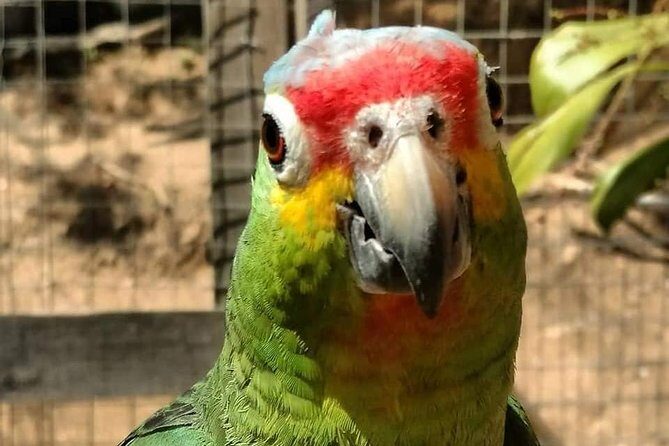 Manawakie Park, Sightseeing Island Tour & Beach - FAQ