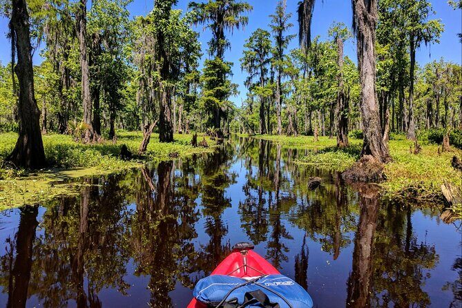 Manchac Swamp EXTENDED Kayak Tour with Pickup - Who Is This Tour For?