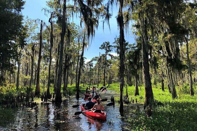 Manchac Swamp EXTENDED Kayak Tour with Pickup - A Deep Dive into the Manchac Swamp Kayak Tour Experience