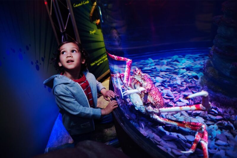 Manchester: SEA LIFE Entrance Ticket - FAQs
