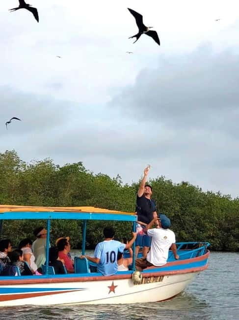 Mancora: Puerto Pizarro - Tour Mangrove Mysteries - Key Points