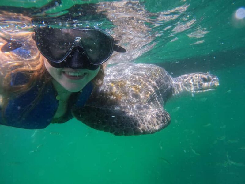 Mancora: Swimming and bathing with turtles | Entrance | - Mancora: Swimming and Bathing with Turtles | Entrance