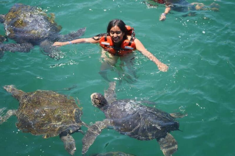 Mancora: Swimming and bathing with turtles | Entrance | - Key Points