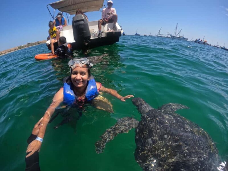 Mancora: Swimming and bathing with turtles | Entrance | - Who Should Consider This Tour?
