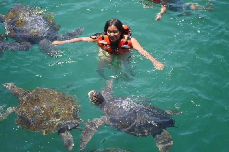 Mancora: Swimming and bathing with turtles | Entrance | - The Sum Up