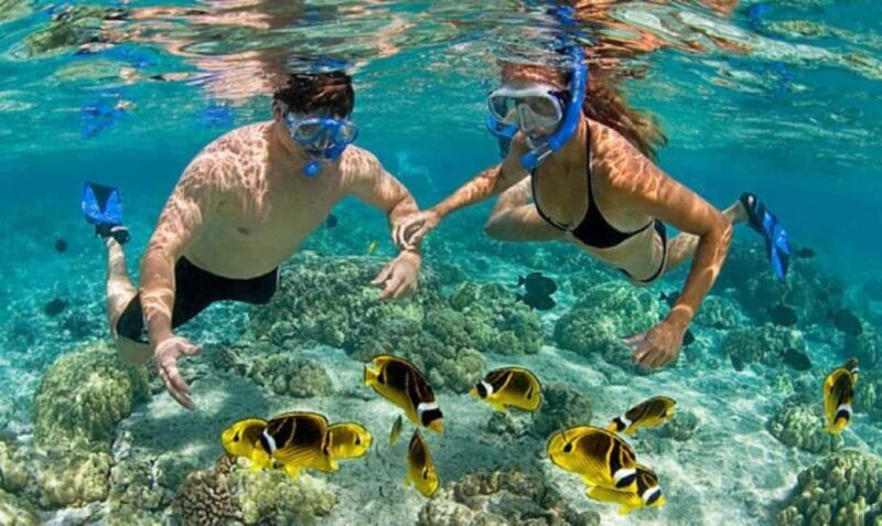 Mandelieu: Full day boat jet-ski paddle underwtaer scooter.. - Why This Tour Works for Travelers