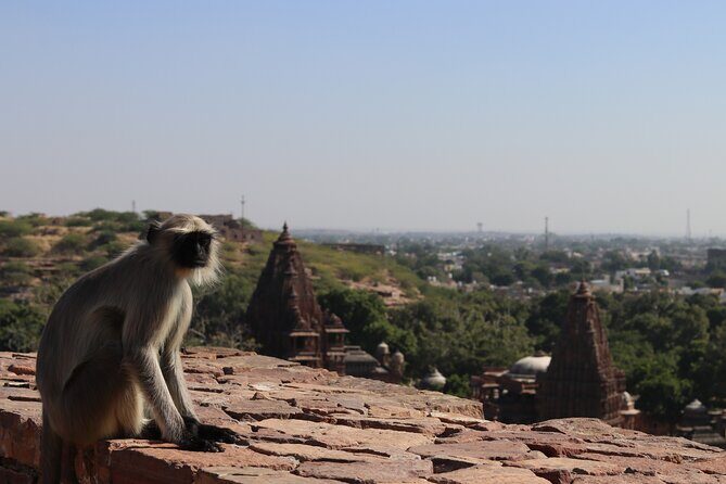 Mandore Garden Walking Tour - Detailed Breakdown of the Itinerary