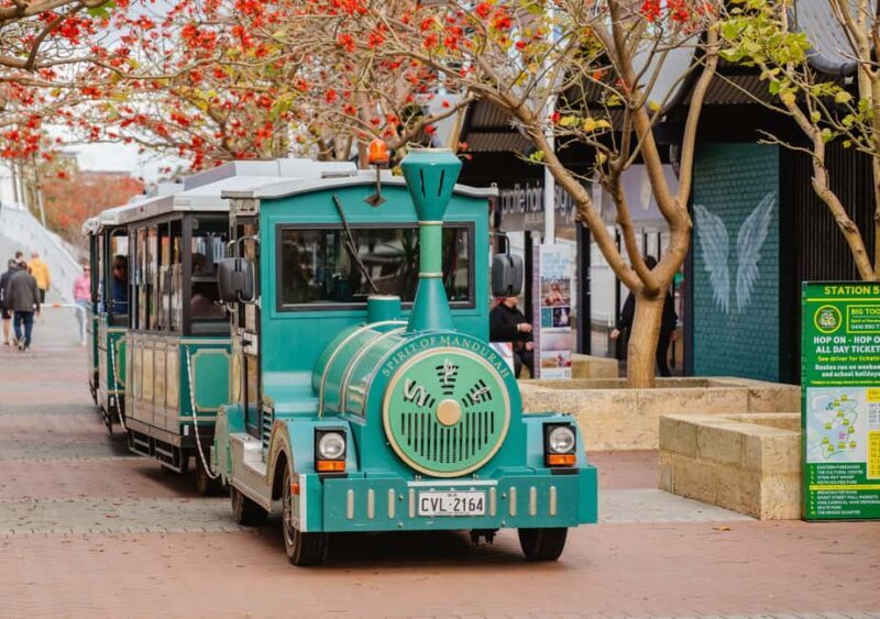 Mandurah: Big Toot 30 mins scenic tour - Who Is It Best For?