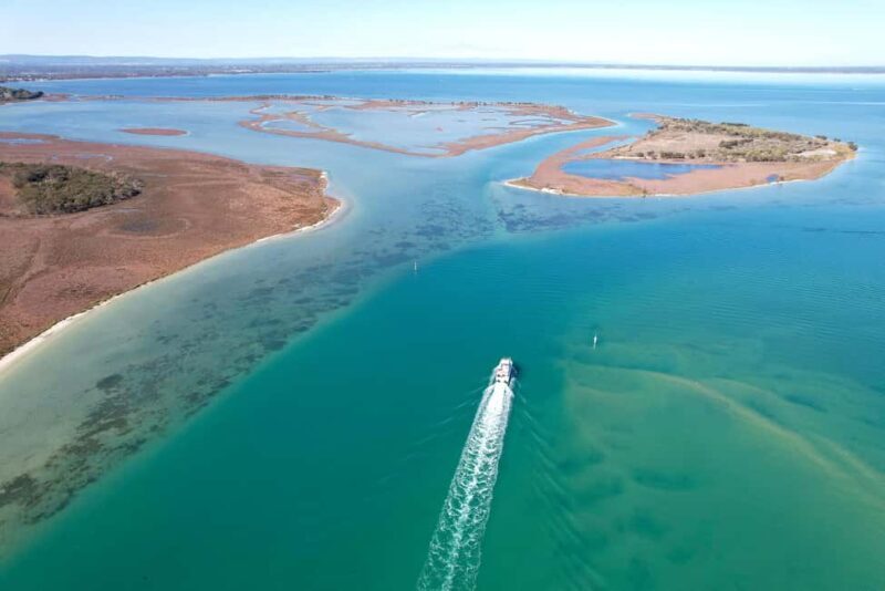 Mandurah: Dolphin & Giant Sightseeing Cruise - Who Will Love This Experience?