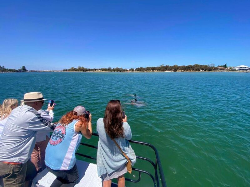 Mandurah: Sightseeing Dolphin Cruise with Tour Guide - Setting the scene: What’s included and how it works