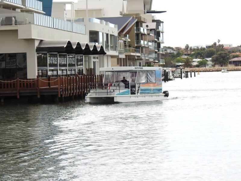 Mandurah: Sightseeing Dolphin Cruise with Tour Guide - Practical considerations and tips