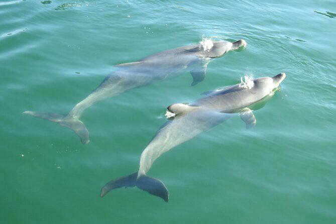 Mandurah Sunset Cruise - FAQ