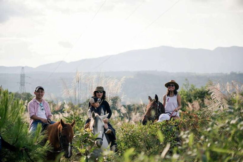 Mang Den: Horse Riding Tour with Drinks & Pickup - Is This Tour Right for You?