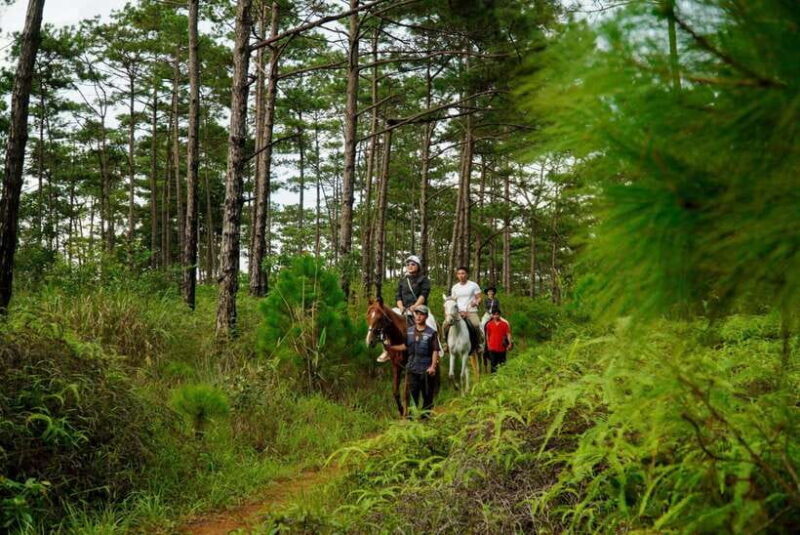 Mang Den: Horse Riding Tour with Drinks & Pickup - Final Thoughts: Why This Tour Is a Worthwhile Choice