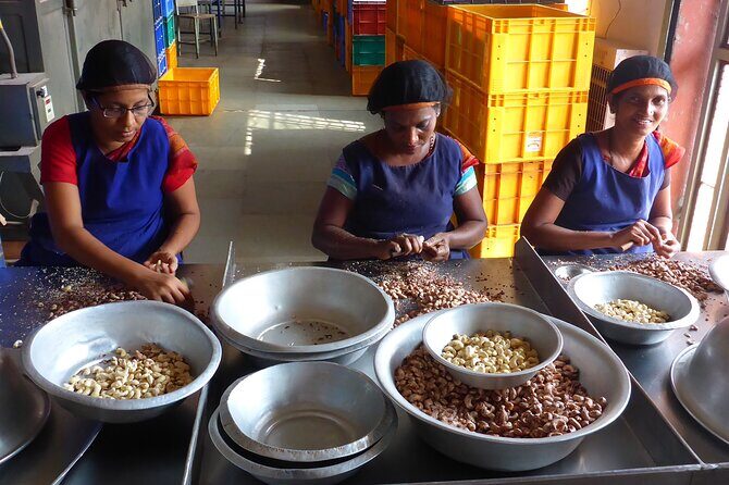 Mangaluru Shore Excursion - Full Day Private Mangaluru Guided City Tour - A Deep Dive into Mangalore’s Highlights