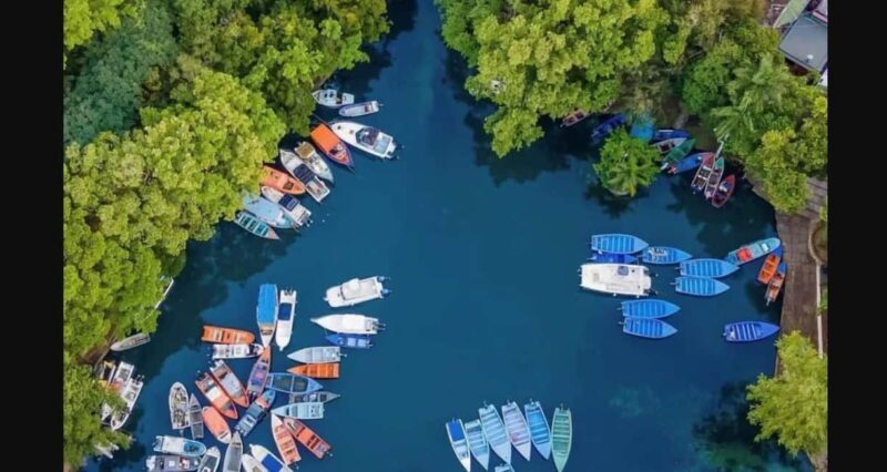 Mangove boat tour - Rio San Juan Guided 4-6 hour tour - Key Points