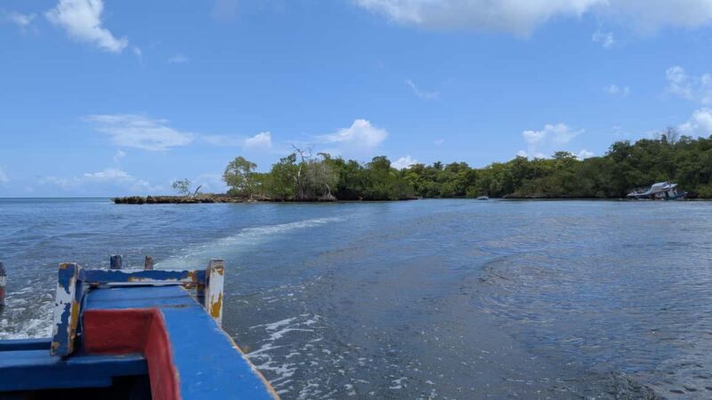 Mangove boat tour - Rio San Juan Guided 4-6 hour tour - A Closer Look at the Rio San Juan Mangrove Boat Tour