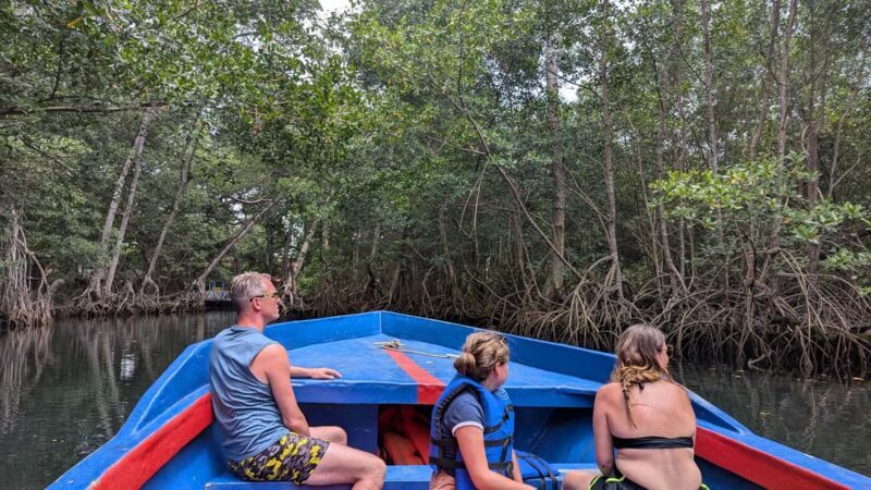 Mangove boat tour - Rio San Juan Guided 4-6 hour tour - Authenticity, Guides, and Value