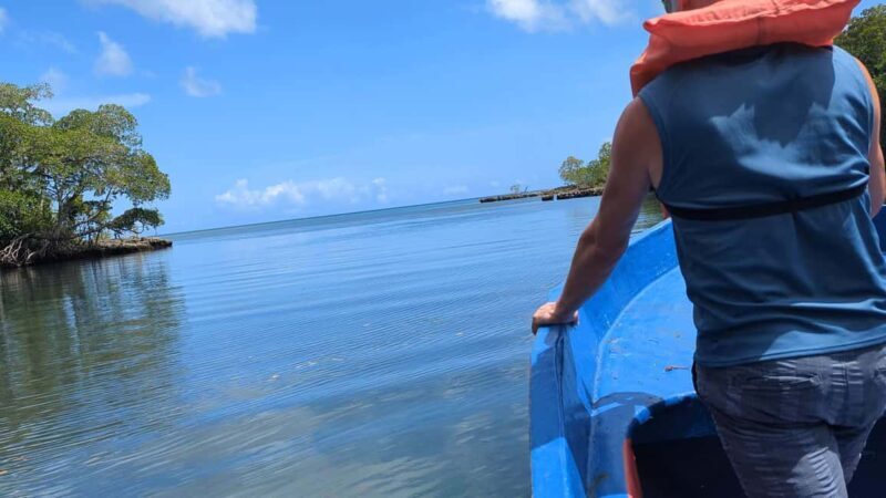 Mangove boat tour - Rio San Juan Guided 4-6 hour tour - FAQs