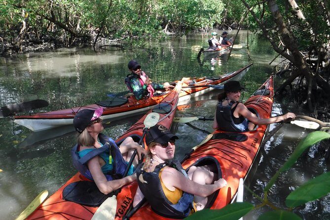 Mangrove, Beaches and Islands by Kayak tour - Final Thoughts