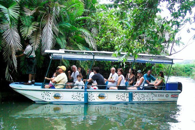 Mangrove Boat Tour Damas Island | Manuel Antonio - An In-Depth Look at the Damas Island Mangrove Boat Tour