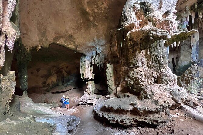 Mangrove Boat Tour in Krabi - The Sum Up