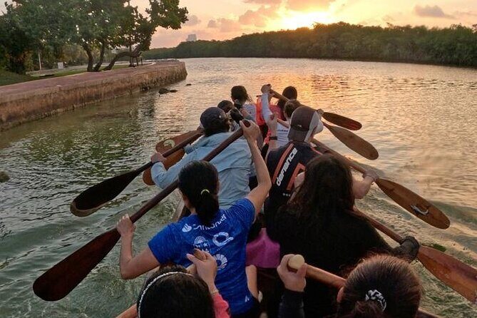 Mangrove Canoe Route at Sunset between Sacred Ecosystems - Experience the Magic of Cancun’s Sacred Ecosystems on a Mangrove Canoe Route at Sunset