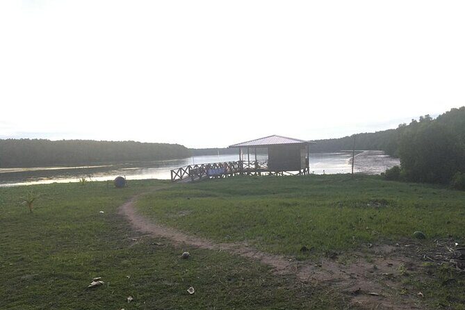 Mangrove Cruise with Fireflies Tour Including Dinner from Sandakan - FAQ