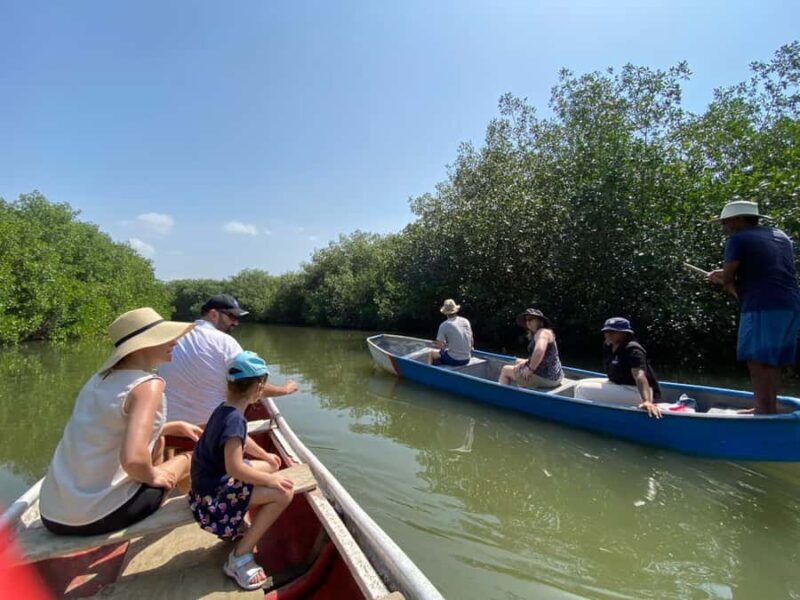 Mangrove ecotour and fishing in Cartagena's natural mangrove - A Detailed Look at the Tour: What You Can Expect