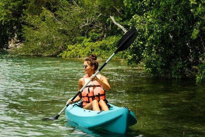 Mangrove Forest Bali Canoe Eco Tour - An In-Depth Look at the Mangrove Forest Bali Canoe Eco Tour