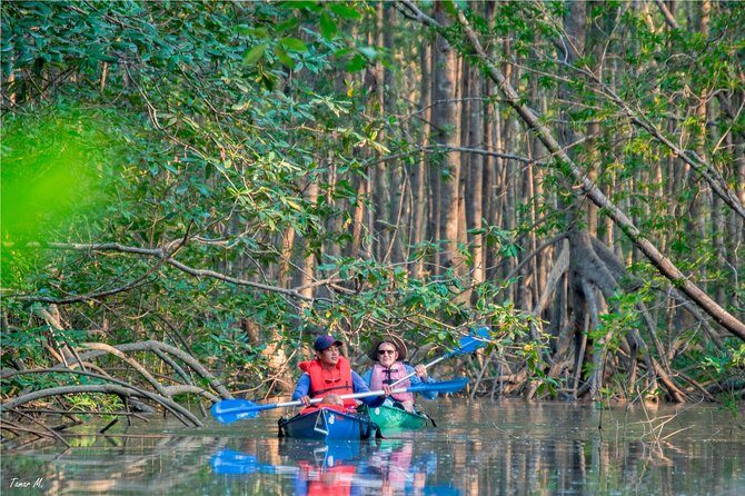 Mangrove Forest Kayak Exploration - Exploring the Mangroves of Costa Rica: A Guided Kayak Tour in Puerto Jiménez