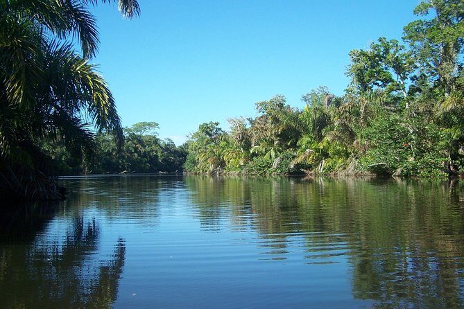 Mangrove & Gandoca Lagoon - Key Points