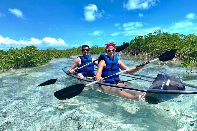 Mangrove & Iguana Clear Kayak Tour - The Experience in Detail